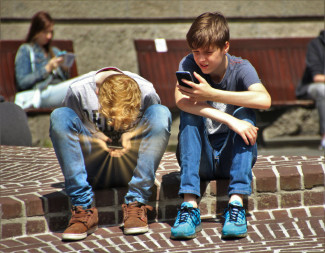 Foto von pexels-pixabay.jpeg