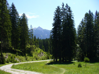 15_leutaschtal_-_m_woerner.jpg