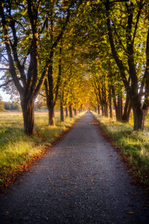 herbst.jpg