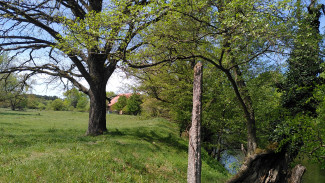 hainberg_5.jpg